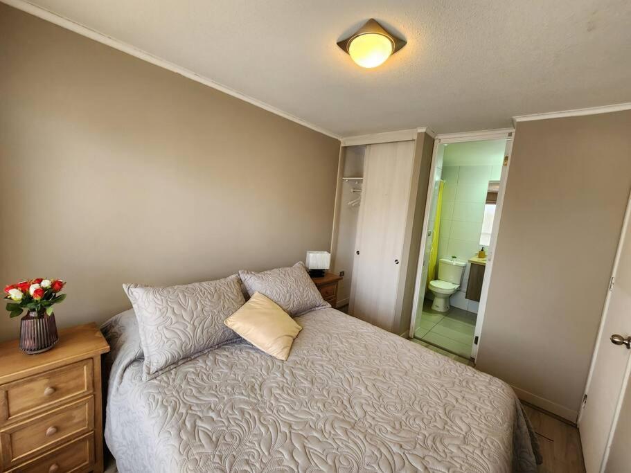 Acogedor Apartamento En Centro De Santiago. Екстериор снимка